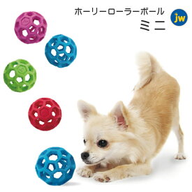 ホーリーローラーボール ミニ【追跡可能メール便】【全国一律送料無料】
