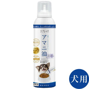 Xvb` pA}jyܖ2026N56zy}g}ցzySꗥz