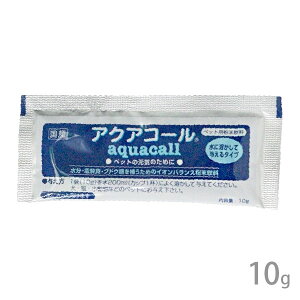 ANAR[ 10gyܖ2026N6zy[ցE`XցzySꗥz