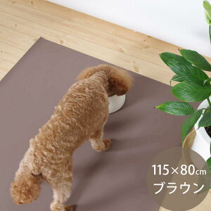 RtB}`V[g 115×80cm uEy}g}ցzySꗥz