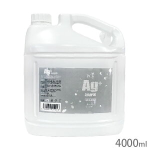 PCK AgVv[ 4000mlyꕔnzyyz