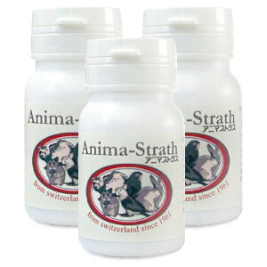 Aj}XgX  20gyܖ2029N7zyǐՉ\[ցzySꗥz