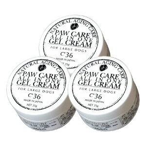 i`GCWOPA PAI[CWFN[ C36 ^pyǐՉ\[ցzySꗥz