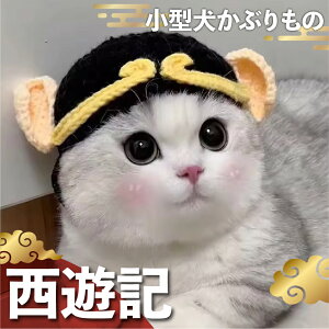 Lp ҂݂ڂ VL   Ԃ RXv ubN CG[ Xq L 蕨 ˂ 킢 lR Xq RXv ObY ybg ϐg  RX`[ ^  t 