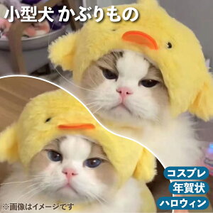 LpRXv Ԃ Ђ悱 STCY Xq L 蕨 ˂ 킢 lR Xq RXv ObY ybg ϐg  RX`[ ^  t Lp p Hו ׂ ւ 