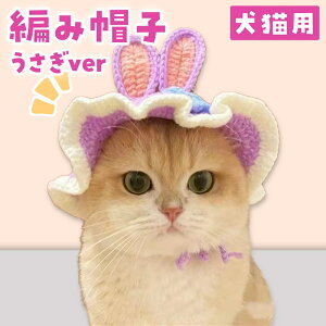 Lp ҂݂ڂ  STCY Ԃ RXv  p[v Xq L 蕨 ˂ 킢 lR Xq RXv ObY ybg ϐg  RX`[ ^  t Lp p 