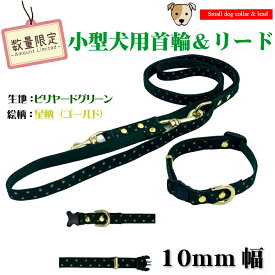 小型犬用首輪＆リード　セット販売　星柄 緑色ver.　　k04-10-0020　【WAN18】