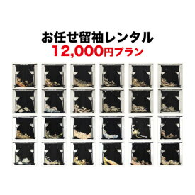 【5/24～5/27まで最大2,000円OFFクーポン】【レンタル】 留袖 レンタル 「和なでしこ」創業140年の呉服屋がお選びする12,000円プラン！[留袖 レンタル]黒留袖19点フルコーディネートセット〔消費税込み〕