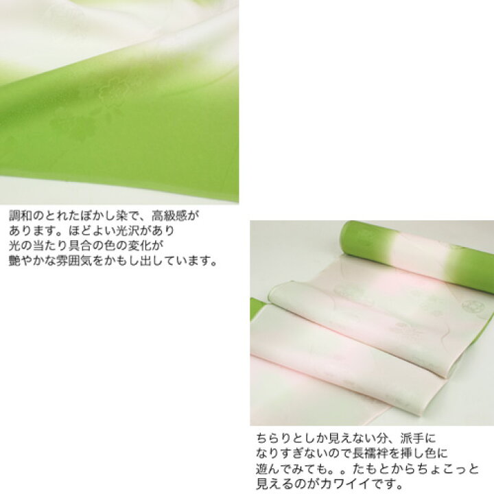 楽天市場】正絹長襦袢 振袖用長襦袢反物 「ぼかし染め 手毬に桜」 黄緑 
