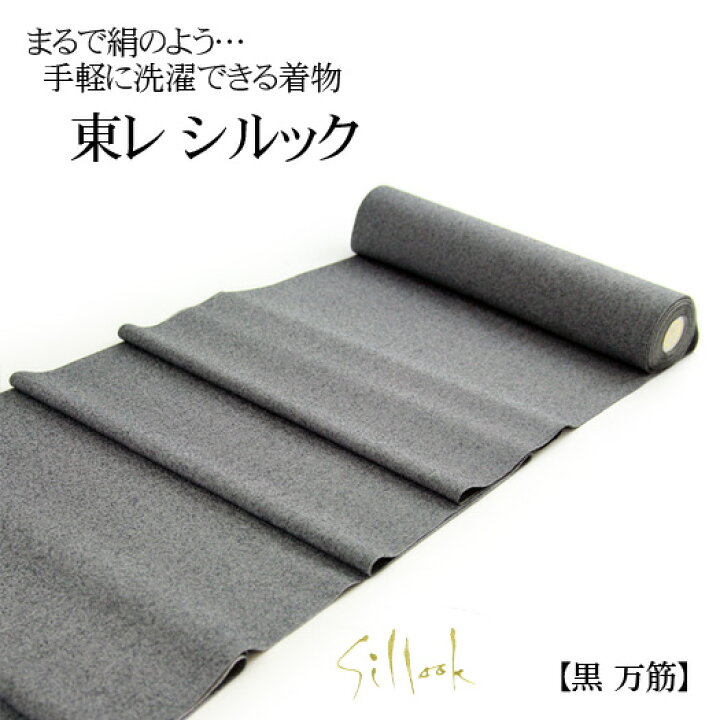 楽天市場】【6/4 20:00〜6/11 1:59まで最大2,000円OFFクーポン】東レ 