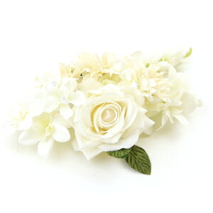  Ǝ l сu؂₩[YƏԂ̖[tvU hX Ӊ R[ RT[W A[gt[   sN wAANZT[ a a m okō݁l