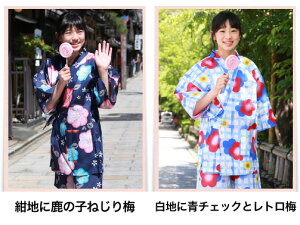 (送料無料)「なでしこ」変わり織り女物甚平上下浴衣)*甚平レディース女性甚平ladiesjinbeiladies05P19Jun15
