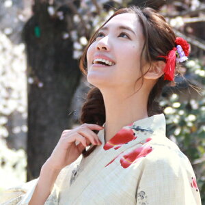   Nbvu^bZtv ߂ l wAANZT[ ߗpwA[ANZT[  čՂ ԉΑ  sN   