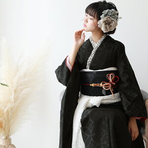 振袖 黒 女性着物 | 通販・人気ランキング - 価格.com