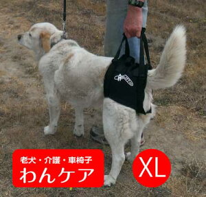 y񂹁zGAtgs⏕n[lX(㑫pj XL(74-90cm)pyEH[NAoEgz ybg pi V  PA yppizybgObY ㎈ r y 