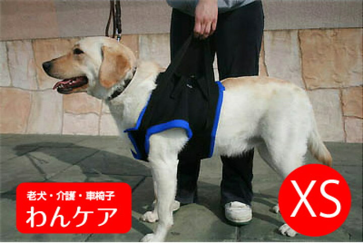 楽天市場 歩行補助ハーネス 前足用 Xs 胸周り34 38 5cm 介護用 ウォークアバウト ペット 介護用品 老犬 高齢犬 わんケア 犬用介護用品 ペットグッズ 前肢 前脚 老犬と介護のショップ わんケア
