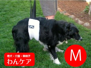 Hoist About@ȒPn[lXMyybgppiz V  PA yppizybgObY