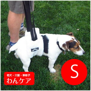 Hoist About@ȒPn[lXSyybgppiz V  PA yppizybgObY