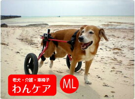 楽天市場 大型犬 カートの通販