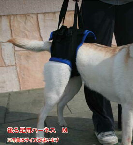 Vp s⏕n[lX 㑫p MTCYi49-63cmjbEH[NAoEg pibEnrEKi⏕EԂ̏~T|[g