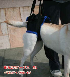 Vp s⏕n[lX 㑫p MLTCYi59-68cmjbEH[NAoEg pibEnrEKi⏕EԂ̏~T|[g