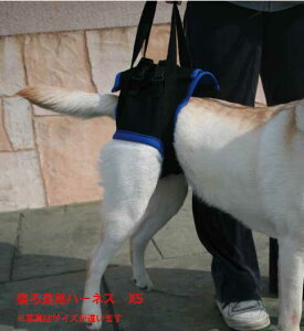 Vp s⏕n[lX 㑫p XSTCYi34-38cmjbEH[NAoEg pibEnrEKi⏕EԂ̏~T|[g