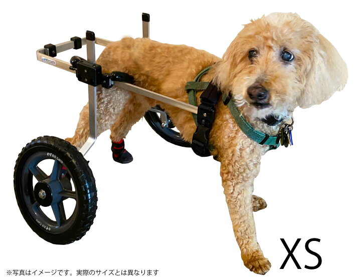 楽天市場】【試乗車あり】犬の車椅子 K9カート 後脚サポート XS・猫 