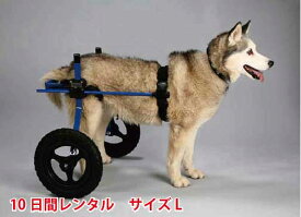 【10日間レンタル】犬の車椅子　K9カートスタンダード後脚サポート L(18〜30kg)用