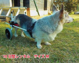 【10日間レンタル】犬の車椅子　K9カートスタンダード後脚サポート M(11.1〜18kg)用