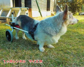 【1カ月レンタル】犬の車椅子　K9カートスタンダード後脚サポート M(11.1〜18kg)用