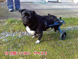 【10 日間レンタル】犬の車椅子　K9カート スタンダード 後脚サポート S(5.1〜11kg)用