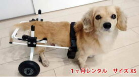 【1カ月レンタル延長】K9カート スタンダード 後脚サポート XS・猫(5kg未満)用 　犬の車椅子 ミニチュア ダックス トイプードル【介護用品】 老犬 高齢犬 わんケア 犬用 車椅子 車いす カート【小型犬 車椅子】 バギー 後肢 後足 歩行器 犬