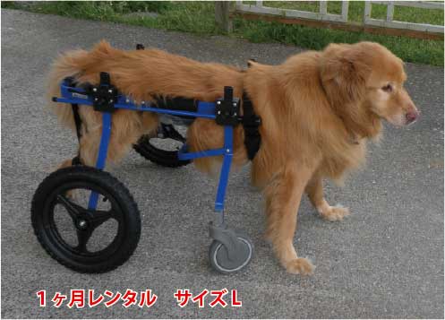 ４輪の犬の車椅子 K9カートスタンダード L(18〜30kg)用 ラブラドール