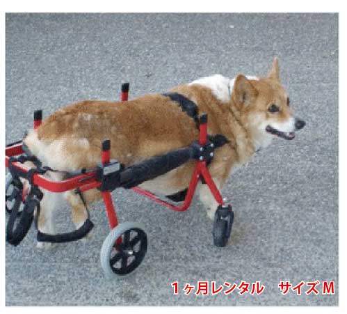 楽天市場】【1カ月レンタル】４輪の犬の車椅子 K9カートスタンダード M ...