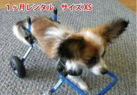 【1カ月レンタル延長】4輪の犬の車椅子　K9カート スタンダード XS・猫(5kg未満)用 　犬の車椅子 ミニチ…