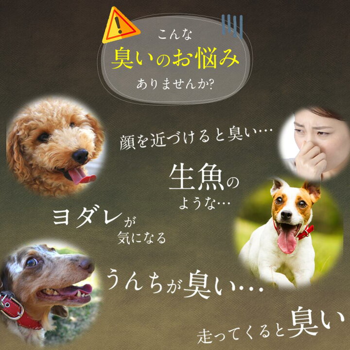 楽天市場 わんちゃんライフ ビオワンファイン60粒 犬用 腸内環境 乳酸菌 サプリ サプリメント 犬 Ec 12 犬用サプリメント 犬用サプリ 乳酸菌サプリ 腸活 青パパイヤ ペット 犬 酵素 ビール酵母 グルコサミン 口臭 体臭 涙やけ 食糞 毛並み 毛艶 アレルギー 国産 楽天市場 わんちゃんライフ ビオワンファイン60粒 犬用 腸内環境 乳酸菌 サプリ サプリメント 犬 Ec 12 犬用サプリメント 犬用サプリ 乳酸菌サプリ 腸活 青パパイヤ ペット 犬 酵素 ビール酵母 グルコサミン 口臭 体臭 涙やけ 食糞 毛並み 毛艶 アレルギー 国産