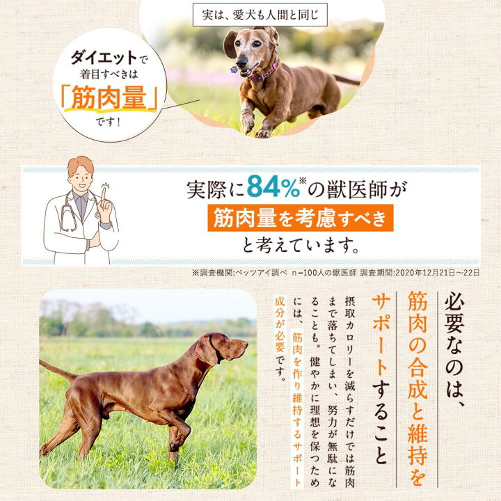 楽天市場 ヘルシー食卓 犬 ダイエット 犬用 ダイエット 犬 体重管理タンパク質 フード カルシウム 体重 犬 ヘルシー 栄養管理 高たんぱく 関節 グルコサミン コンドロイチン 無添加 国内生産 ペット ドックフード オールステージ 独自製法 獣医師 栄養士 わんこ わん