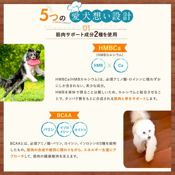 楽天市場 ヘルシー食卓 犬 ダイエット 犬用 ダイエット 犬 体重管理タンパク質 フード カルシウム 体重 犬 ヘルシー 栄養管理 高たんぱく 関節 グルコサミン コンドロイチン 無添加 国内生産 ペット ドックフード オールステージ 独自製法 獣医師 栄養士 わんこ わん 楽天市場 ヘルシー食卓 犬 ダイエット 犬用 ダイエット 犬 体重管理タンパク質 フード カルシウム 体重 犬 ヘルシー 栄養管理 高たんぱく 関節 グルコサミン コンドロイチン 無添加 国内生産 ペット ドックフード オールステージ 独自製法 獣医師 栄養士 わんこ わん