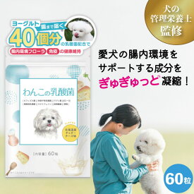 犬 乳酸菌 サプリ 腸内フローラ 改善 無添加 国内製造 60粒 30日分 腸内環境 免疫力 健康維持 整腸 食糞 シニア犬 老犬 全犬種 全年齢 口臭 獣医師 犬の管理栄養士 監修 口内ケア 善玉菌 悪玉菌 ラブレ菌 菌活 腸活 チェダーチーズ味 わんこの乳酸菌