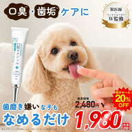【獣医師監修】犬 歯磨き 歯磨き粉 犬 歯磨きジェル 口腔ケア 口臭・歯石とり・歯垢ををサポート 舐める…