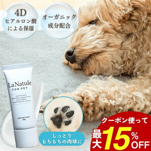 _ő15%OFFʃN[|^N[  L N[ Y ybg I[KjbN h ی PA ׂȂ ~ ]|h~ VjA V  Ђъ g