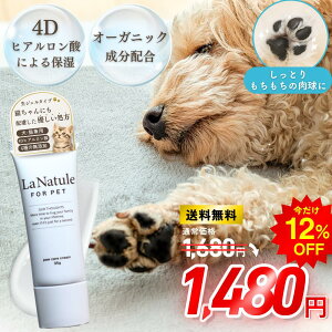 _Z[ʉi^N[  L N[ Y ybg I[KjbN h ی PA ׂȂ ~ ]|h~ VjA V  Ђъ gu 