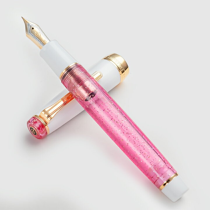 楽天市場】ワンチャー×セーラー「プロフェッショナルギア 21金 万年筆  
