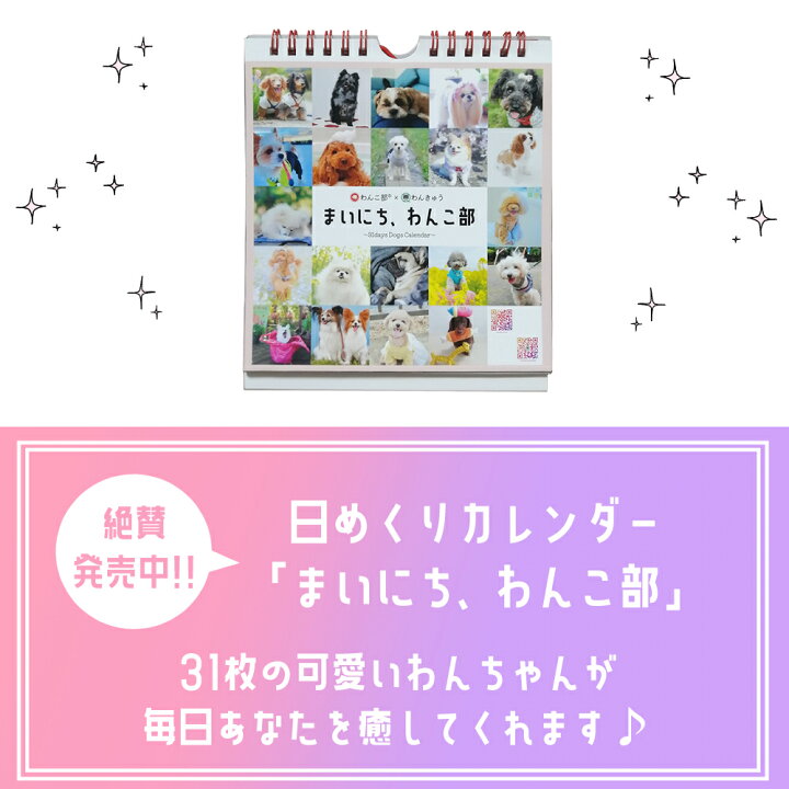 楽天市場 数量限定 送料無料 日めくりカレンダー まいにち わんこ部 ワンコ 犬 いぬ ドッグ かわいい 動物 写真 卓上 壁掛け プレゼント 誕生日 ワンコス