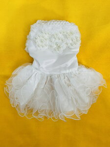 yI݌ɌIz hbOEFA    EFfBOhX p[ XLTCY