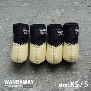 8{͂\聦yWANDAWAYzJ[ | hbOu[c/4PEXS/STCYiN[j