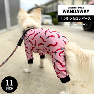 yWANDAWAYzyʌz郍p[Xi`/sNj