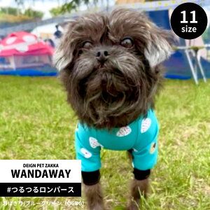 yWANDAWAYz郍p[Xiɂ/u[O[j