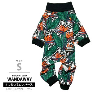 yWANDAWAY _EFCz 郍p[XESTCYigsJt[j