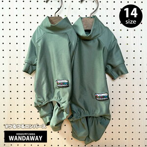 yWANDAWAYz郍p[XEXO[iMGRj